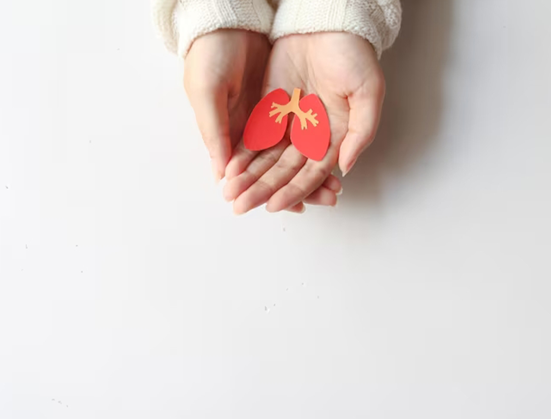 ანტივირუსული ბარიერი